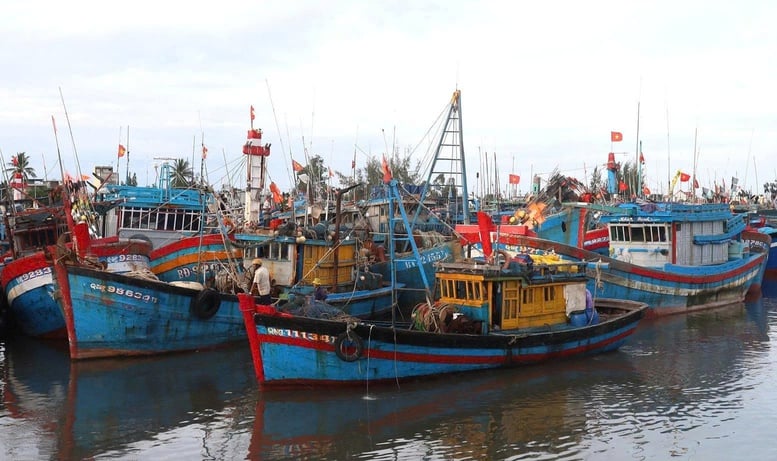Quảng Ngãi: Toàn bộ hệ thống chính trị vào cuộc, tập trung toàn lực ứng phó bão số 13- Ảnh 3.