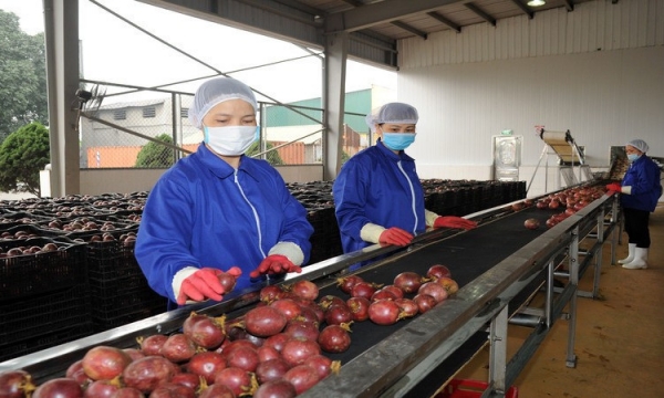 Thúc đẩy xuất khẩu nông sản sang EU