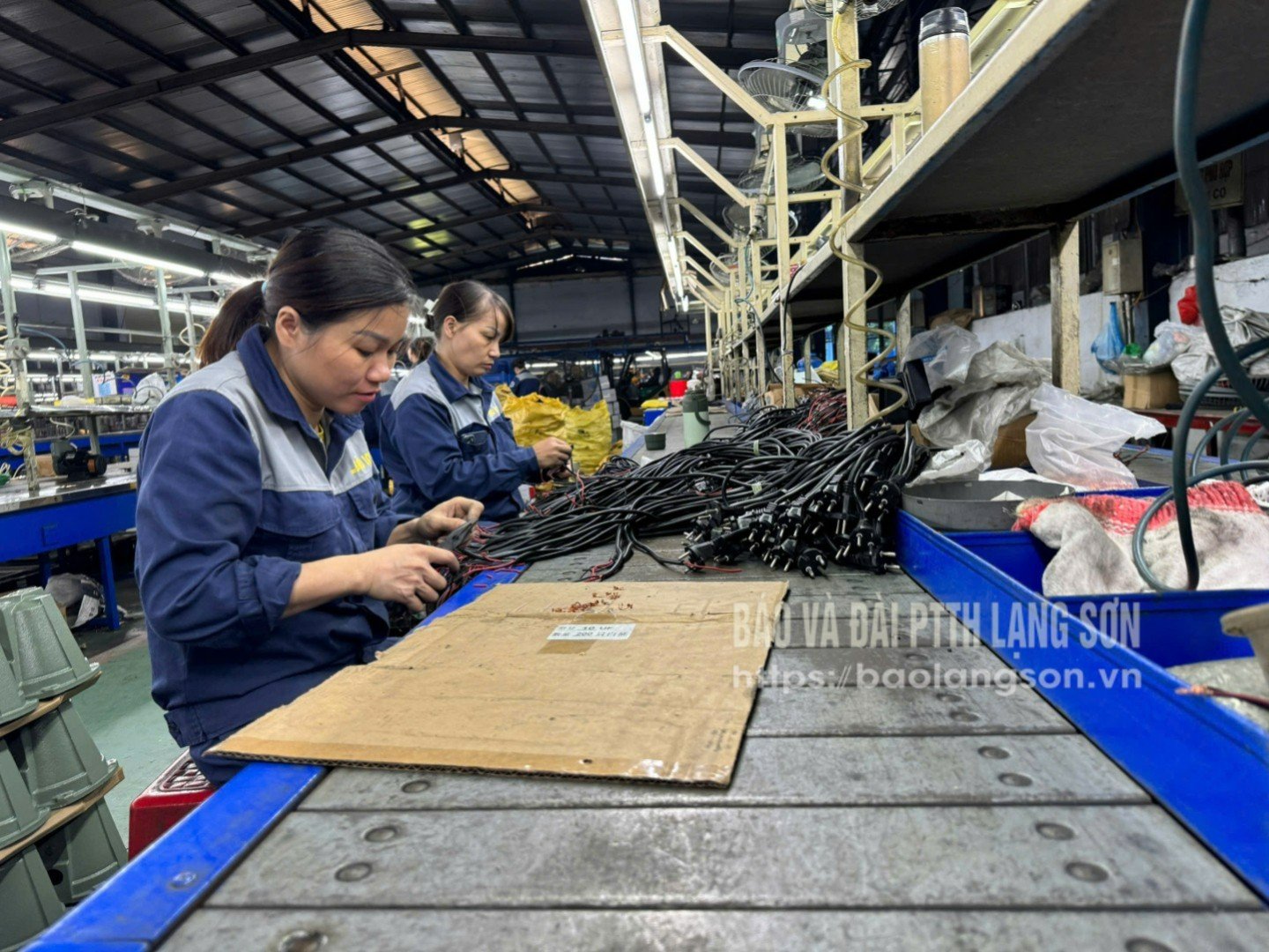 កម្មករ​ក្រុមហ៊ុន ប៉ៅ ឡុង លីមីតធីត (គី វ៉ាដ) ដំឡើង​គ្រឿង​ម៉ាស៊ីន​បូម​ទឹក។