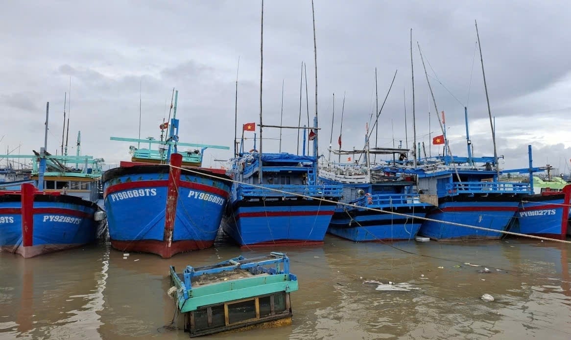 Dak Lak-fiskare ankrar försiktigt sina båtar för att klara av storm nr 13. Foto: Manh Hoai Nam. Ngư dân Đắk Lắk neo đậu tàu thuyền cẩn thận để ứng phó bão số 13. Ảnh: Mạnh Hoài Nam.