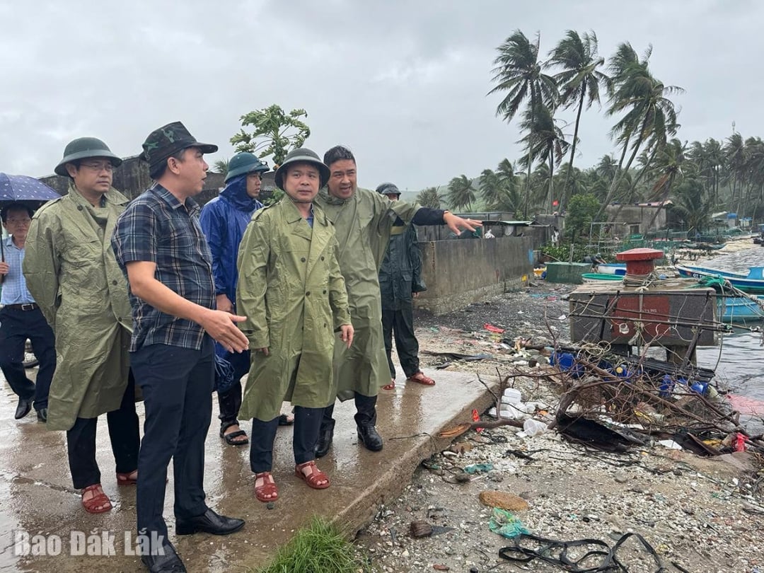 Zástupce tajemníka provinčního výboru strany Do Huu Huy prohlédl kotviště lodí ve Vung Chao.