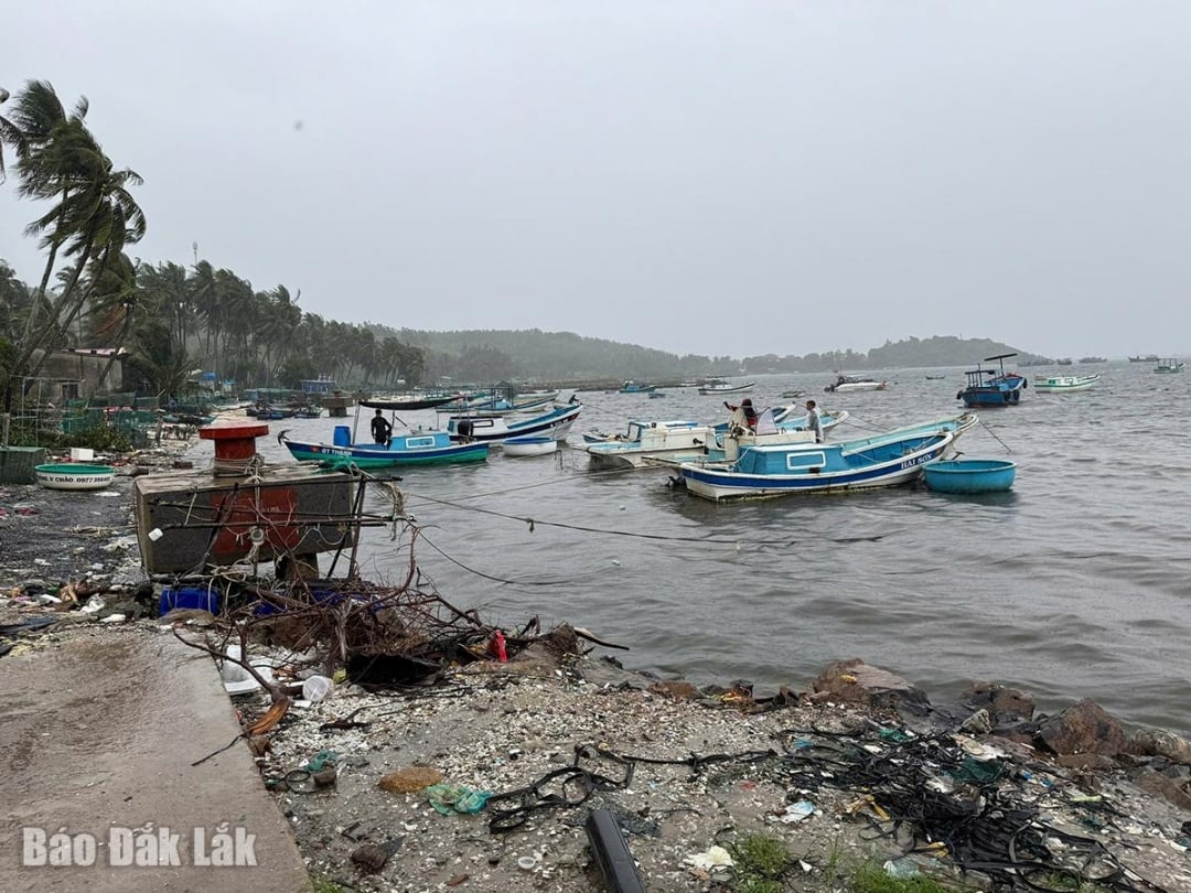 Lodě byly v podstatě bezpečně ukotveny, aby se vyhnuly bouři.