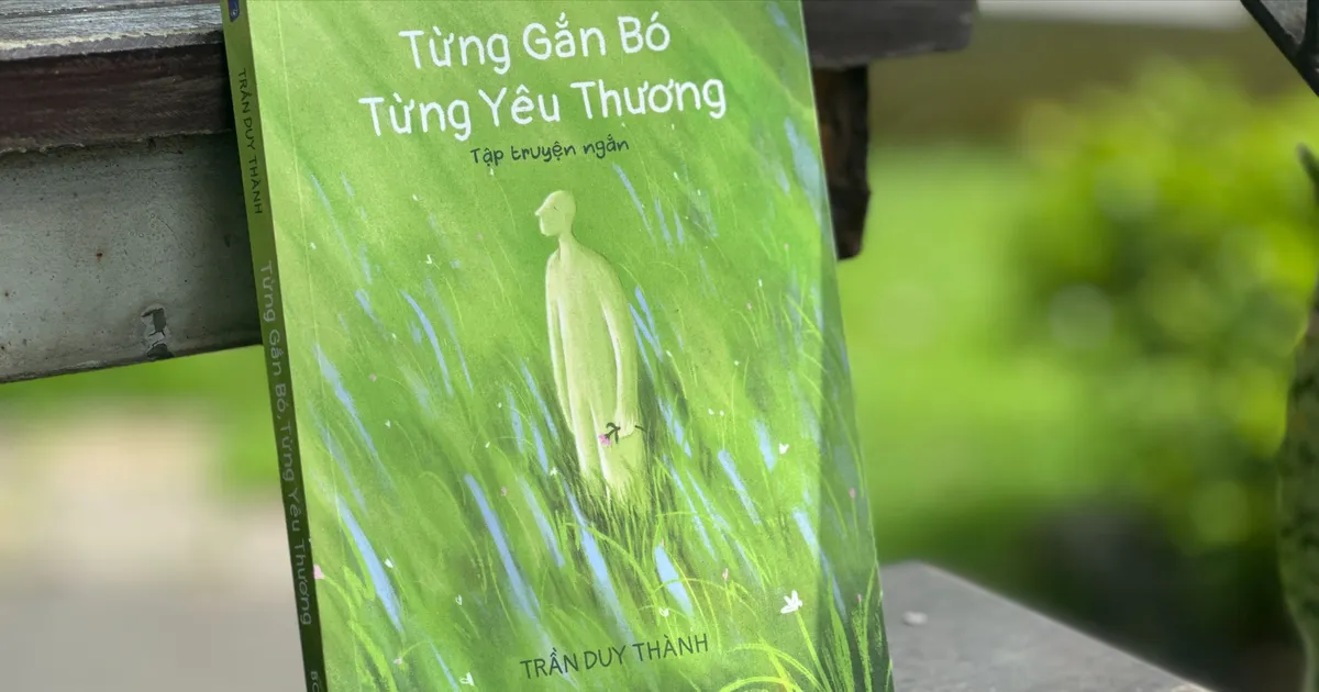 Những bông cúc dại kiên cường trong "Từng gắn bó, từng yêu thương"