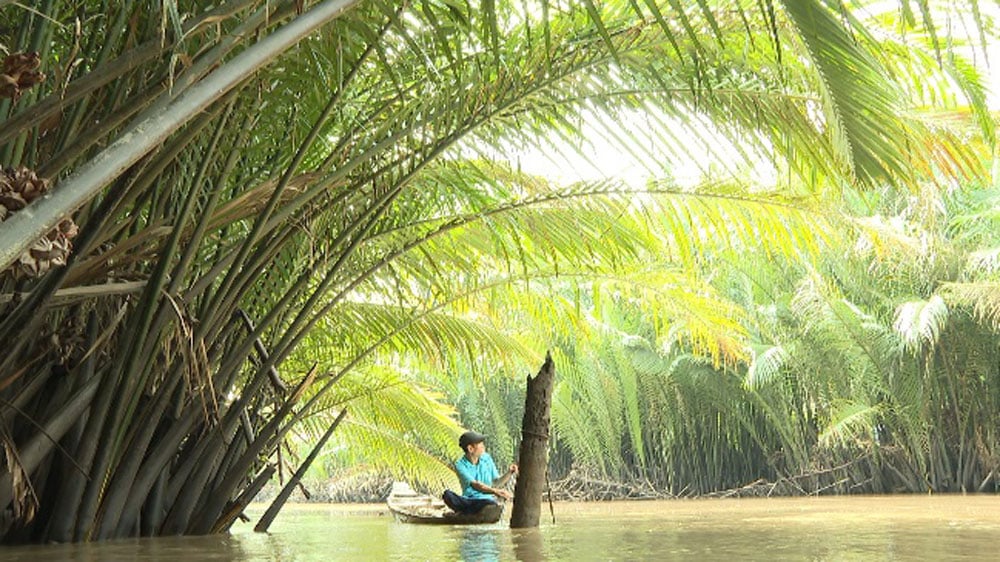 Saudara Thach Em pergi menurunkan genteng di sungai.
