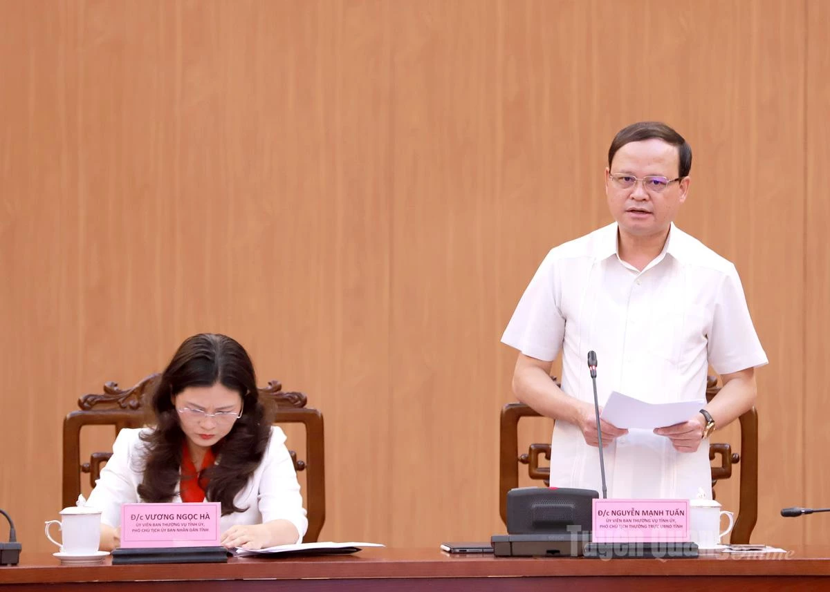 Phó Chủ tịch Thường trực UBND tỉnh Nguyễn Mạnh Tuấn phát biểu chỉ đạo tại hội nghị.