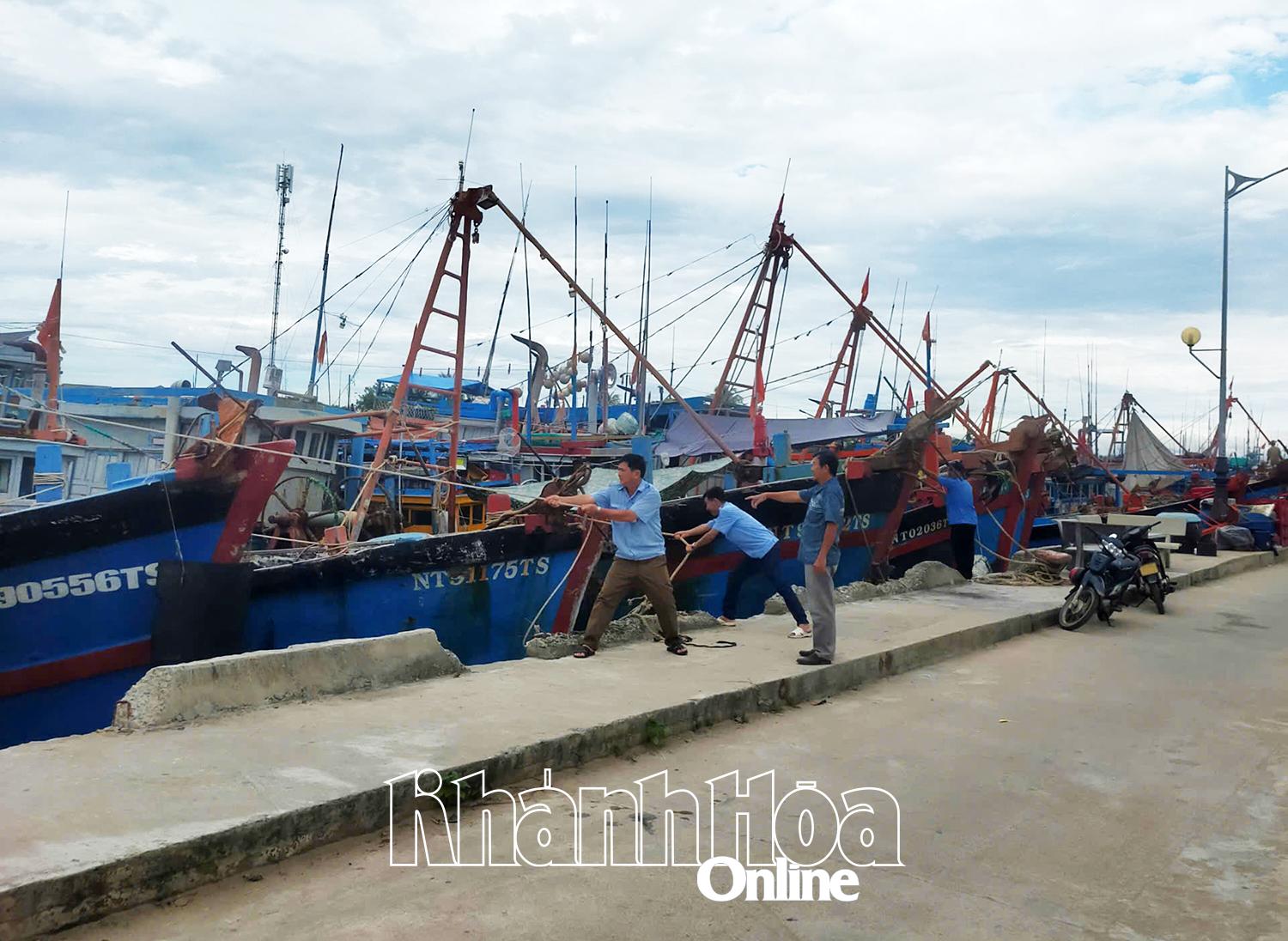 नावों को लंगर डालना