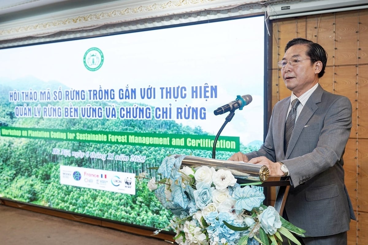 Directorul adjunct Nguyen Van Dien a ținut discursul de deschidere la atelier. Foto: Bao Thang. Phó Cục trưởng Nguyễn Văn Diện phát biểu khai mạc hội thảo. Ảnh: Bảo Thắng.