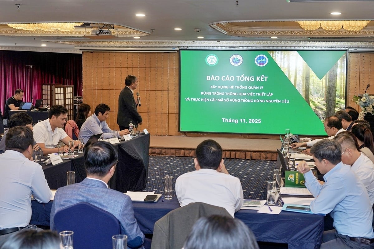 Centrul de Economie Silvică (Institutul de Științe Silvice din Vietnam) prezintă un raport de sinteză după emiterea programului pilot de coduri pentru plantațiile forestiere. Foto: Bao Thang. Trung tâm Kinh tế Lâm nghiệp (Viện Khoa học Lâm nghiệp Việt Nam) trình bày báo cáo tổng kết sau khi thí điểm cấp mã số rừng trồng. Ảnh: Bảo Thắng.
