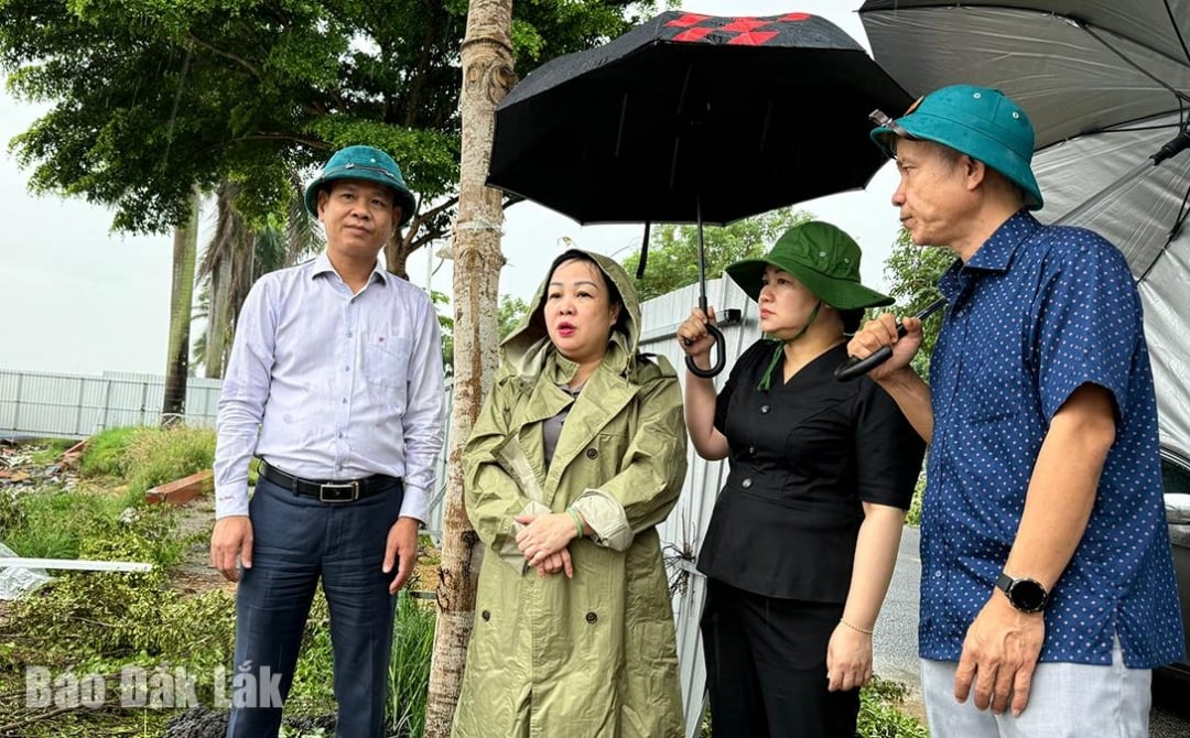 Ο σύντροφος Κάο Θι Χόα Αν (δεύτερος από αριστερά) και οι ηγέτες της περιφέρειας Τούι Χόα επιθεώρησαν το κατεστραμμένο ανάχωμα Μπαχ Ντανγκ.