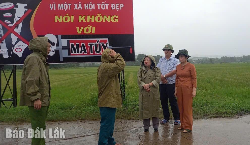 Ο Μόνιμος Αναπληρωτής Γραμματέας της Επαρχιακής Επιτροπής του Κόμματος, Κάο Θι Χόα Αν, επιθεώρησε την επιρρεπή σε πλημμύρες περιοχή στο χωριό Δε Χιέν, στην κοινότητα Τούι Αν Τάι.