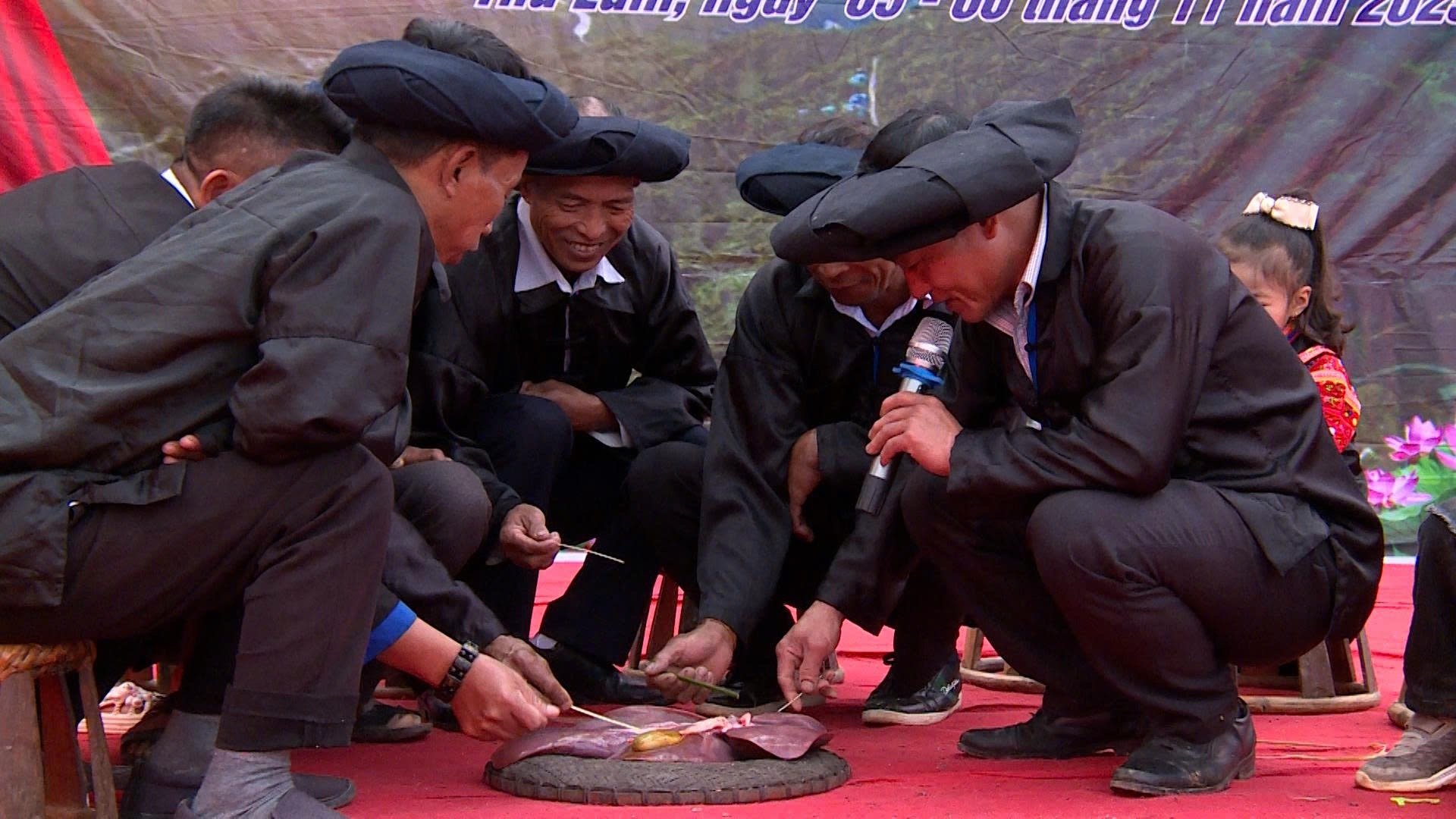 Provádění rituálu porážky prasete na Tet - prohlížení jater na začátku nového roku