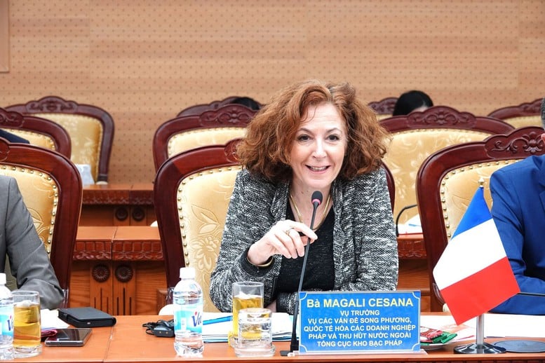 Éves magas szintű gazdasági párbeszéd Vietnam és a Francia Köztársaság között - 3. kép. Đối thoại cấp cao thường niên về kinh tế Việt Nam - Cộng hoà Pháp- Ảnh 3.