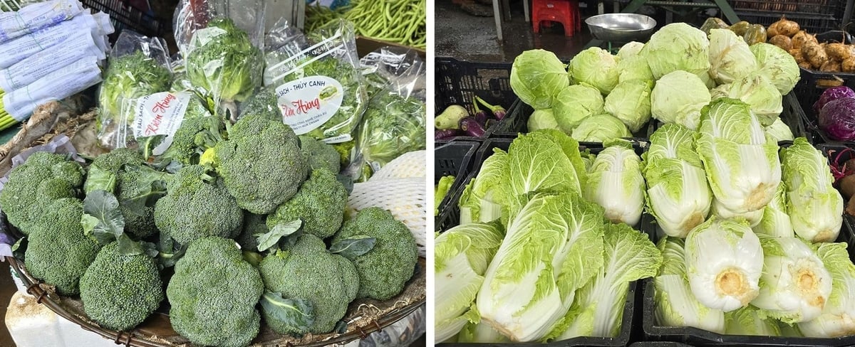 Ціни на броколі коливаються від 50 000 до 55 000 донгів/кг, на капусту – від 20 000 до 25 000 донгів/кг. Фото: Фуонг Чі. Giá súp lơ xanh từ 50.000 - 55.000 đồng/kg, cải thảo từ 20.000 - 25.000 đồng/kg. Ảnh: Phương Chi.