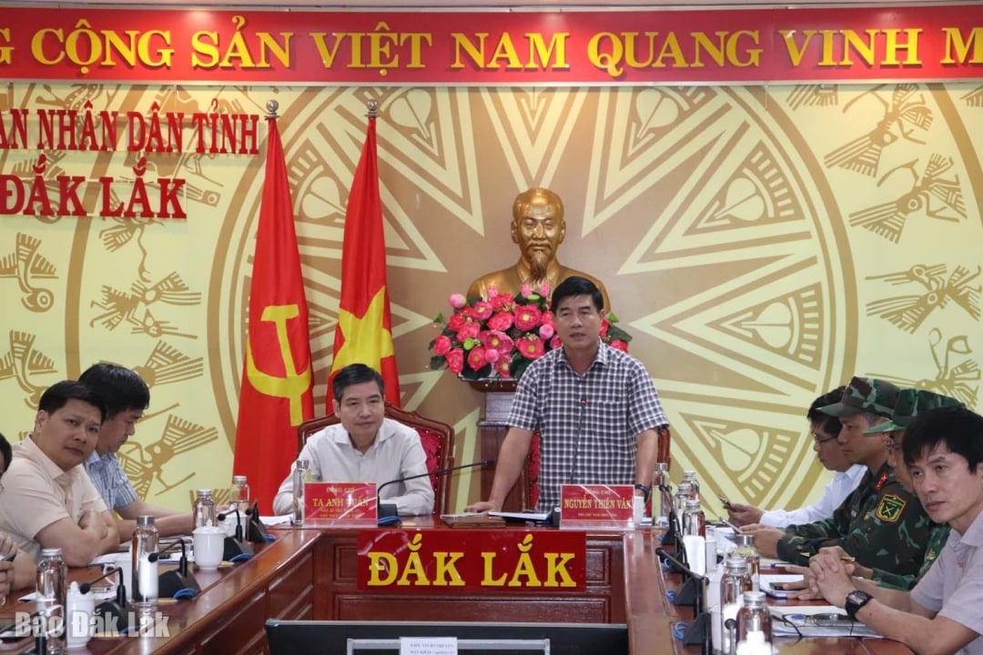 Vice ordförande för provinsens folkkommitté, Nguyen Thien Van, rapporterade vid mötet.