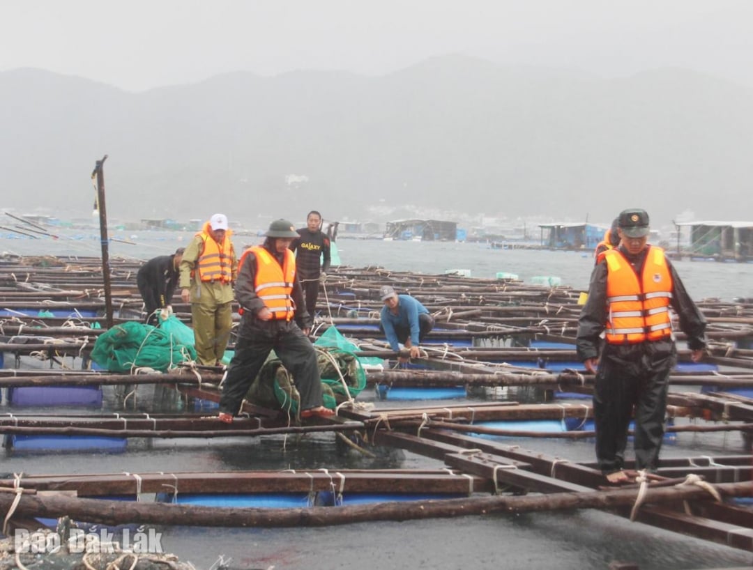 Влада мобілізувалася та нагадала людям прив'язати клітки та плоти і зійти на берег, щоб уникнути шторму.