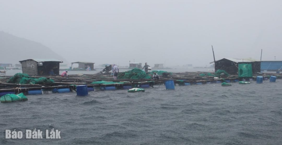 Люди прив'язують клітки та плоти перед тим, як вийти на берег, щоб уникнути шторму.