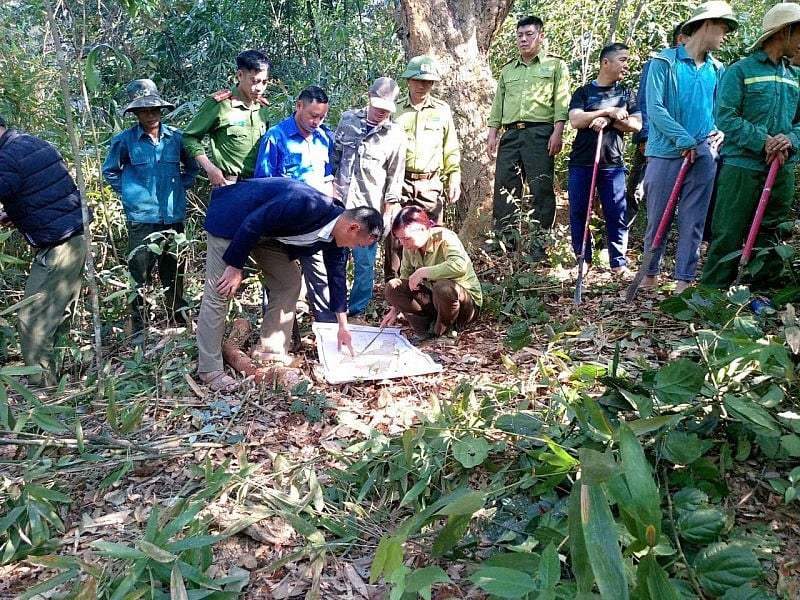 Na Son secara aktif menghalang kebakaran hutan pada musim kemarau Na Son chủ động phòng chống cháy rừng mùa khô