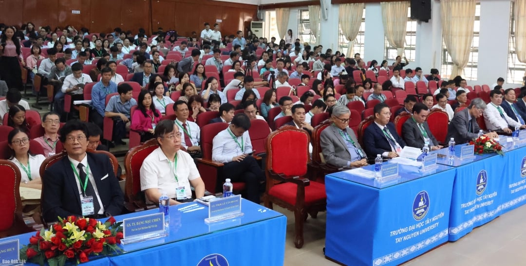 ប្រតិភូចូលរួមសន្និសីទ។