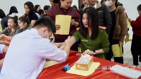 Önkéntesek vetítenek a fesztiválon