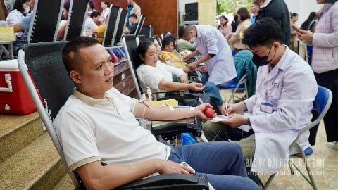 Önkéntesek adnak vért a fesztiválon