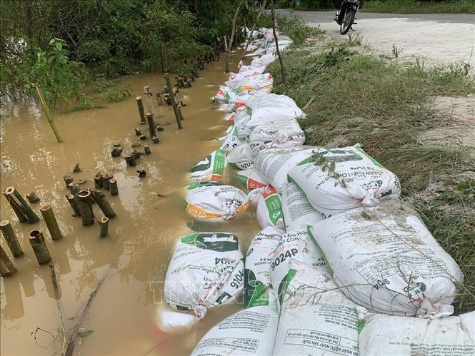 تعليق الصورة