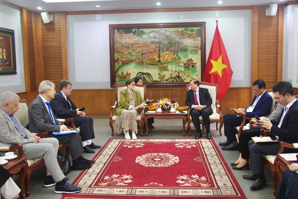 Mempromosikan kerja sama dalam pelatihan budaya dan seni antara Vietnam dan Federasi Rusia - foto 2