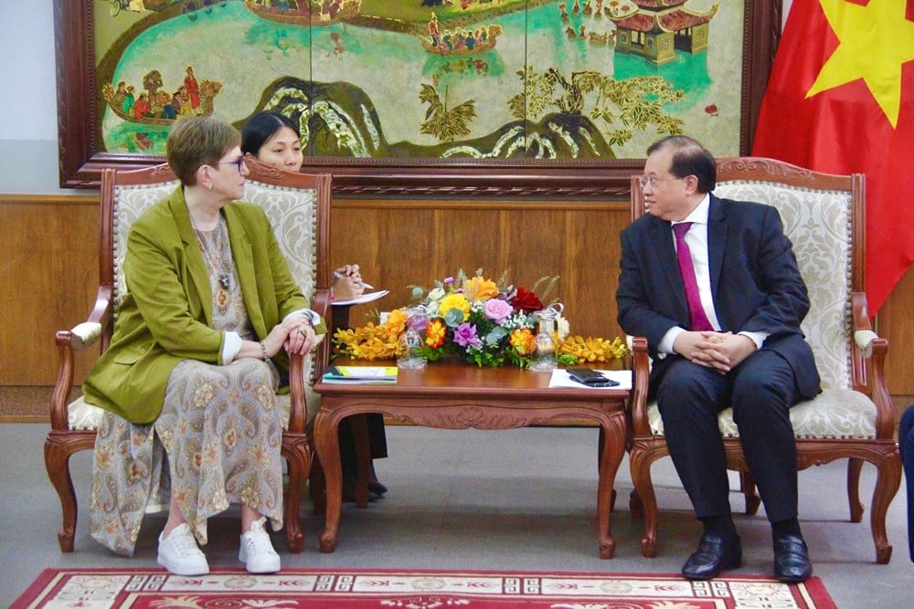 Mempromosikan kerja sama dalam pelatihan budaya dan seni antara Vietnam dan Federasi Rusia - foto 1