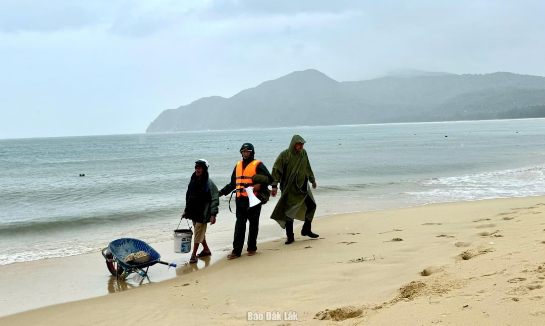 Úřady žádají lidi, aby přestali chodit k moři a nechávat tam potravu pro vodní živočichy, které chovají. Foto: Ho Nhu