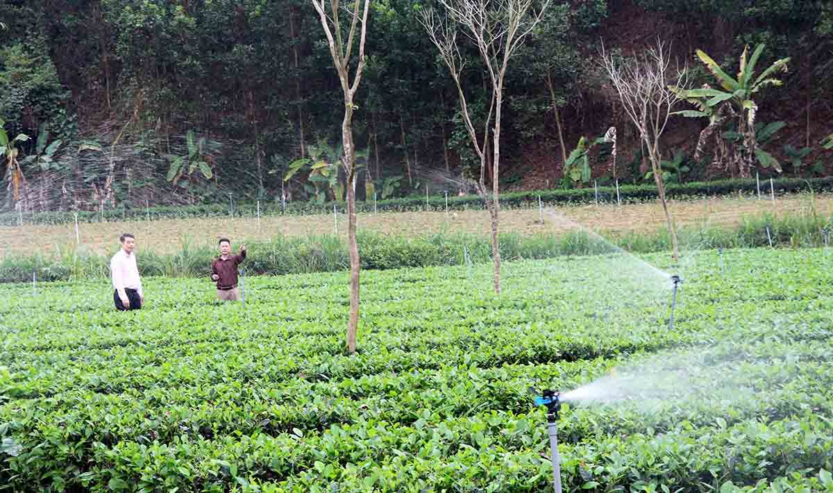 Úvěry v rámci politických politik významně přispěly k udržitelnému snižování chudoby v Tuyen Quang. Foto: PV.