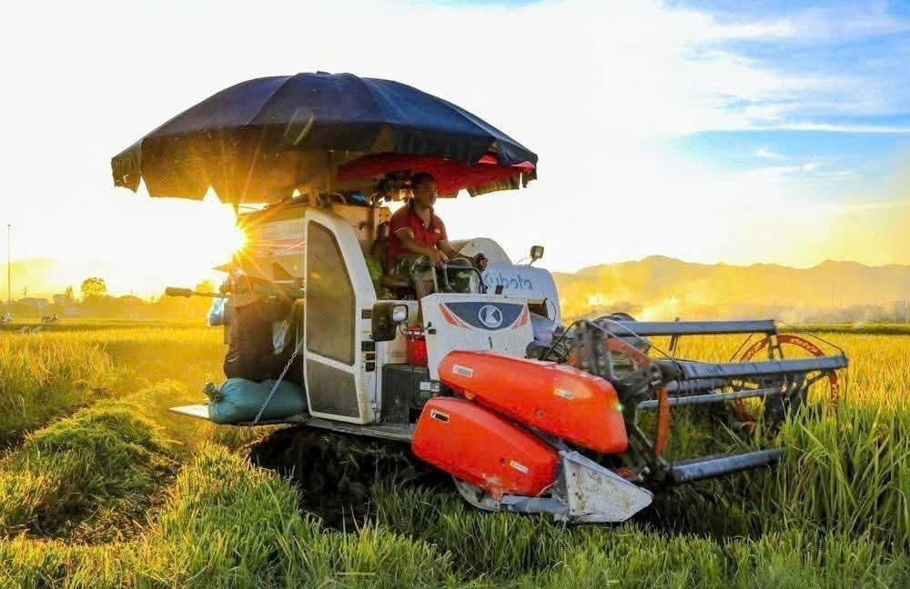 The Ministry of Agriculture and Environment said there are many policies to protect rice-growing land and improve farmers' income and lives. Photo: Hoang Chau. Bộ Nông nghiệp và Môi trường cho biết, có nhiều chính sáchtrong việc bảo vệ đất trồng lúa, nâng cao thu nhập và đời sống của người nông dân. Ảnh: Hoàng Châu.