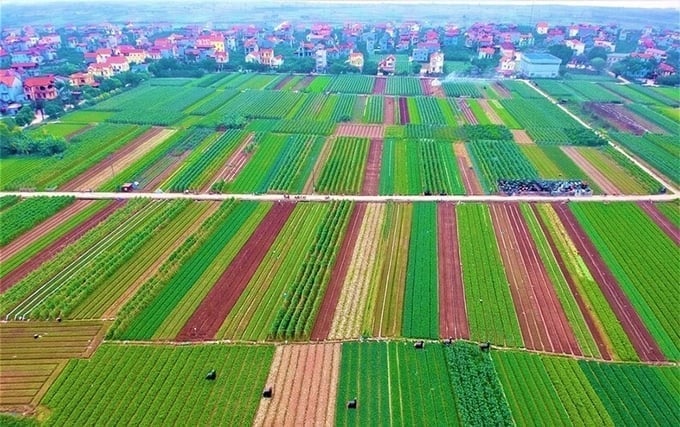 In order to exploit and use agricultural land effectively, improve farmers' lives, and ensure sustainable national food security, the 2024 Land Law stipulates that agricultural land can be used for multiple purposes. Photo: Minh Phuc. Để khai thác, sử dụng đất nông nghiệp có hiệu quả, nâng cao đời sống của người nông dân, bảo đảm bền vững an ninh lương thực quốc gia, Luật Đất đai năm 2024 quy định đất nông nghiệp được sử dụng kết hợp đa mục đích. Ảnh: Minh Phúc.