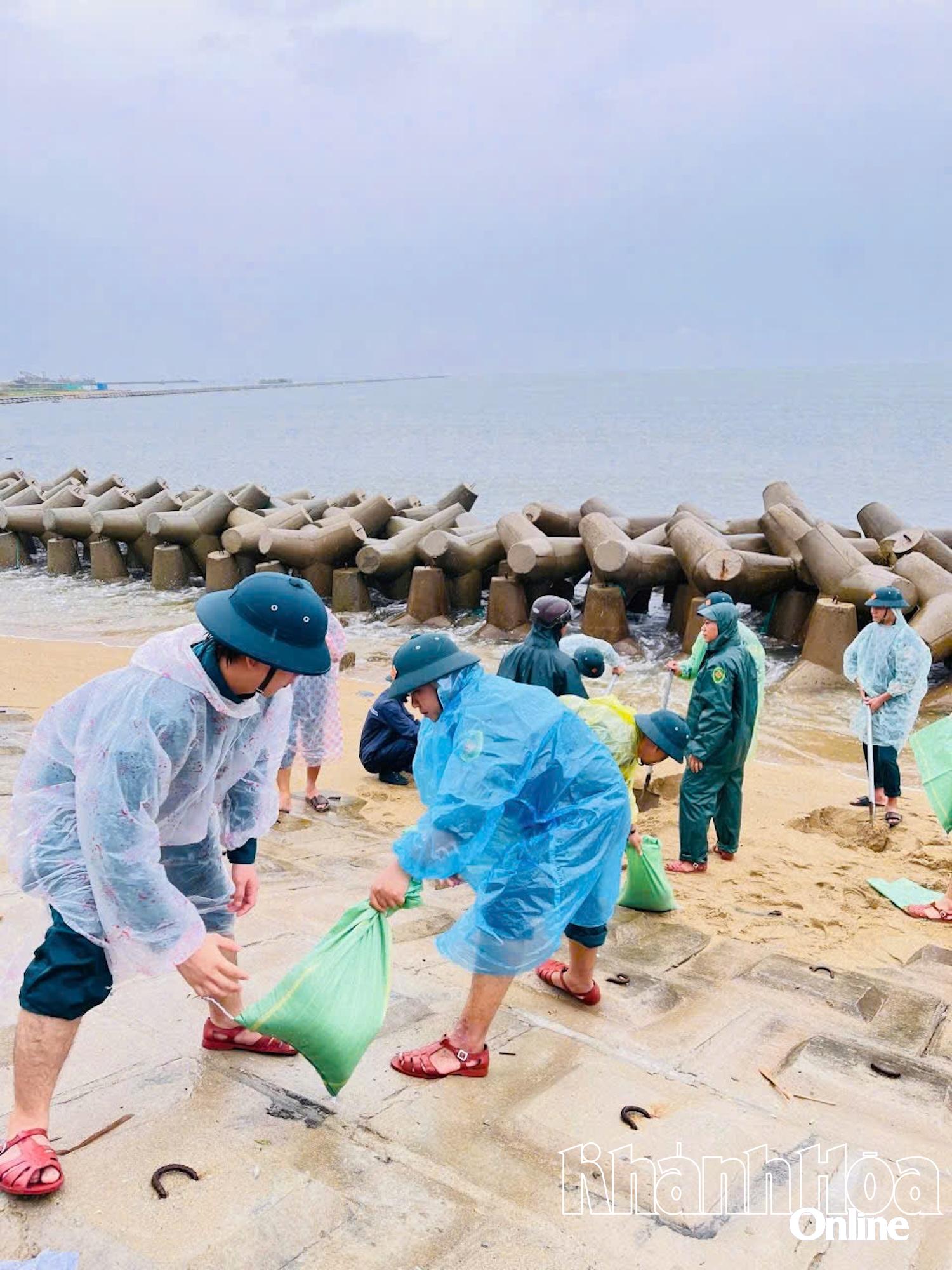 Forțele armate ale districtului Ninh Chu pregătesc saci de nisip pentru a consolida casele și a ajuta oamenii.