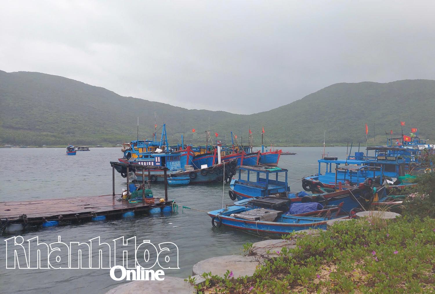 ڈیم مون سمندری علاقے میں کشتیوں کو بحفاظت لنگر انداز کر دیا گیا ہے۔