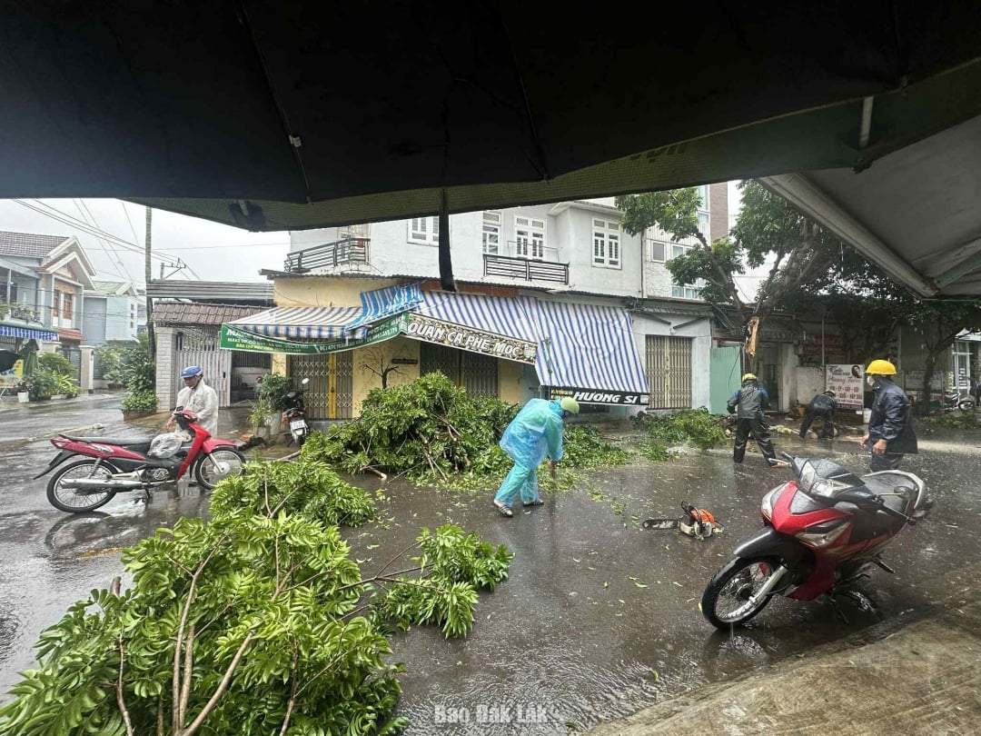 Ødelagt tre på Tran Cao Van-gaten.