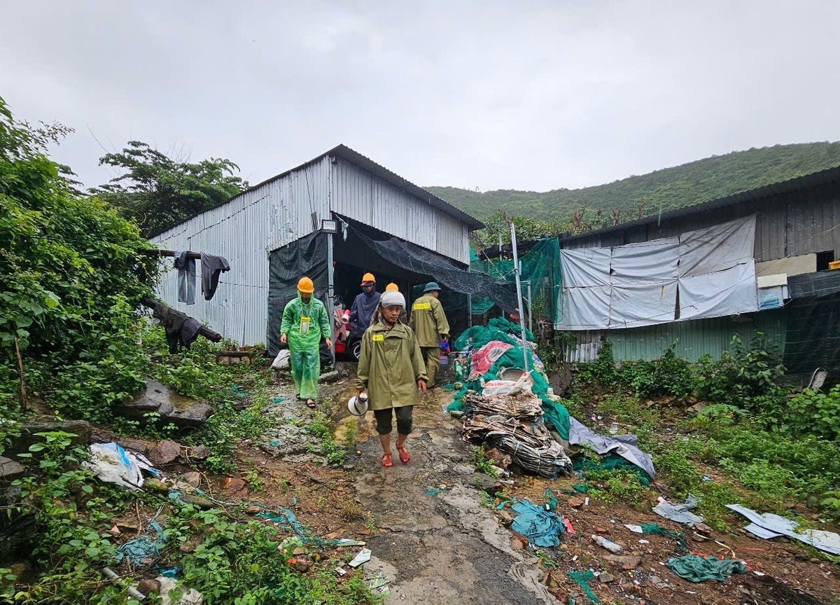 Myndighetene i Nam Nha Trang-distriktet gikk fra dør til dør for å oppfordre folk i fjellandsbyen til å flytte til et trygt sted for å unngå risikoen for jordskred. Foto: Kim So. Chính quyền phường Nam Nha Trang tới từng nhà vận động người dân xóm núi di dời đến nơi an toàn nhằm tránh nguy cơ sạt lở đất. Ảnh: Kim Sơ.