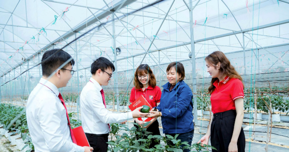 Agribank với trách nhiệm ESG toàn diện, từ “vốn xanh” đến an sinh cộng đồng