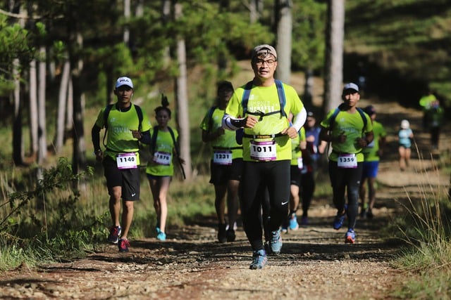 কালমায়েগি ঝড়ের কবলে: লাম ডং ট্রেইল ২০২৫ ট্রেইল রেস বন্ধ, বিভাগ জরুরি প্রেরণ জারি করেছে - ছবি ২। Vướng bão Kalmaegi: Dừng giải chạy địa hình Lâm Đồng Trail 2025, sở ra công văn khẩn- Ảnh 2.