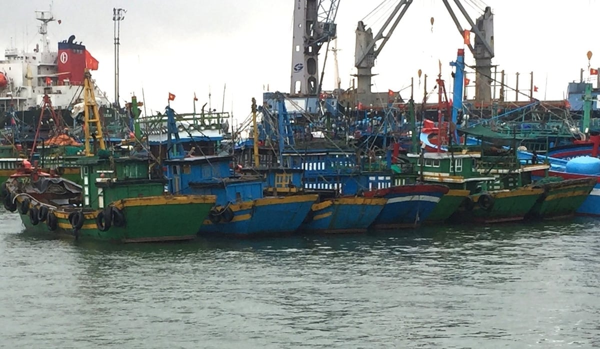 Bărci de pescuit ancorate pentru a se adăposti de furtună în portul de pescuit Quy Nhon (Gia Lai). Fotografie: V.D.T. Tàu cá neo đậu tránh trú bão tại Cảng cá Quy Nhơn (Gia Lai). Ảnh: V.Đ.T.