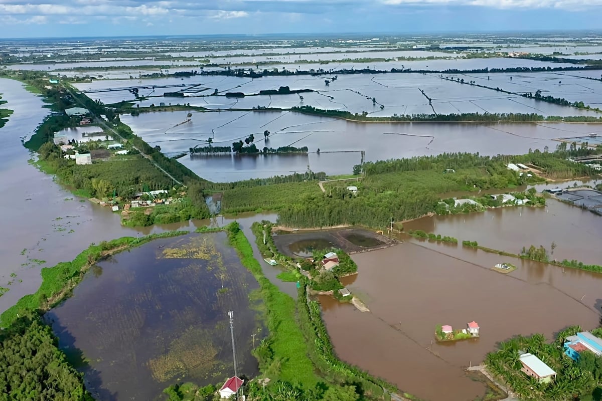 메콩 삼각주의 농업 및 환경 부문은 기후 변화에 적응하기 위해 관리, 계획, 생산 측면에서 큰 변화를 겪었습니다. 사진: 김 안. Ngành nông nghiệp và môi trường vùng ĐBSCL có những chuyển biến mạnh mẽ trong quản lý, quy hoạch, sản xuất thích ứng với biến đổi khí hậu. Ảnh: Kim Anh.
