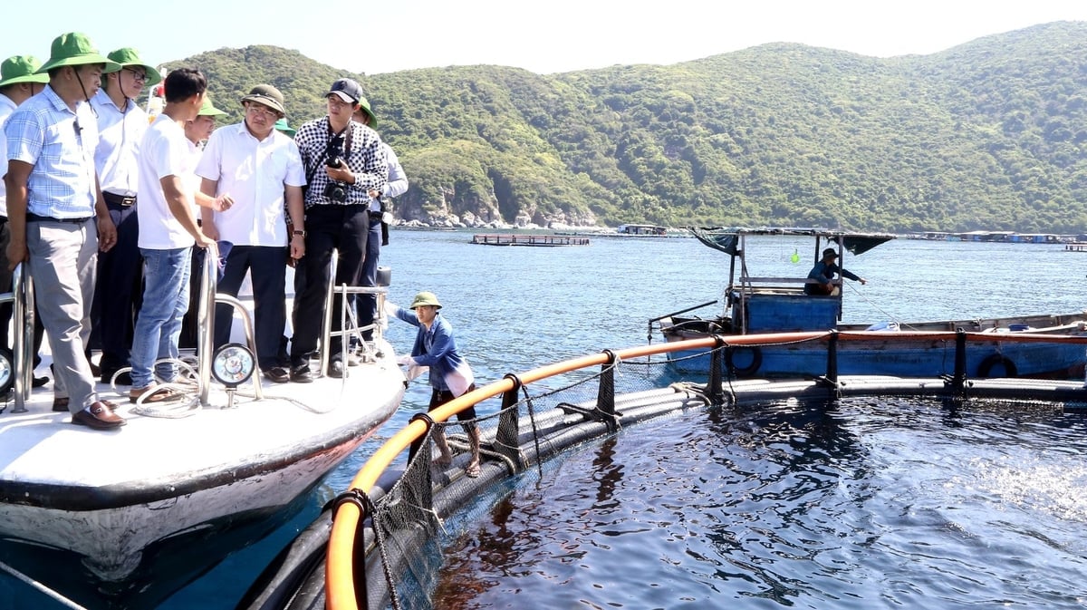 Vedoucí představitelé provincie Khanh Hoa navštívili high-tech model mořského zemědělství. Foto: Kim So. Lãnh đạo tỉnh Khánh Hòa thăm mô hình nuôi biển công nghệ cao. Ảnh: Kim Sơ.