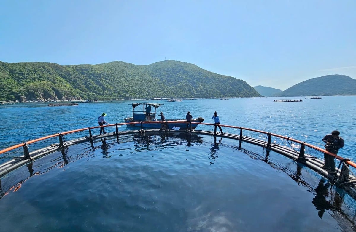 Provincie Khanh Hòa rozšiřuje high-tech model mořského zemědělství. Foto: Kim So. Tỉnh Khánh Hòa đang nhân rộng mô hình nuôi biển công nghệ cao. Ảnh: Kim Sơ.