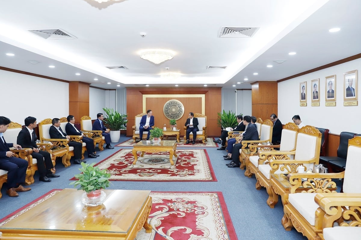 סקירה כללית של קבלת הפנים ופגישת העבודה. צילום: קואנג טרונג. Toàn cảnh buổi tiếp và làm việc. Ảnh: Khương Trung.