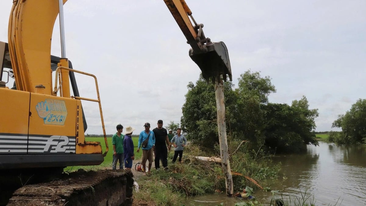 Folk i Dong Thap Muoi-regionen overvinner raskt konsekvensene av den nylige flommen. Foto: Bidragsyter. Người dân vùng Đồng Tháp Mười khẩn trương khắc phục hậu quả đợt mưa lũ vừa qua. Ảnh: CTV.