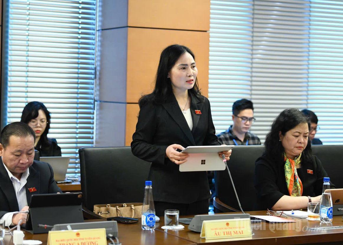 Делегат Ау Тхі Май обговорив.