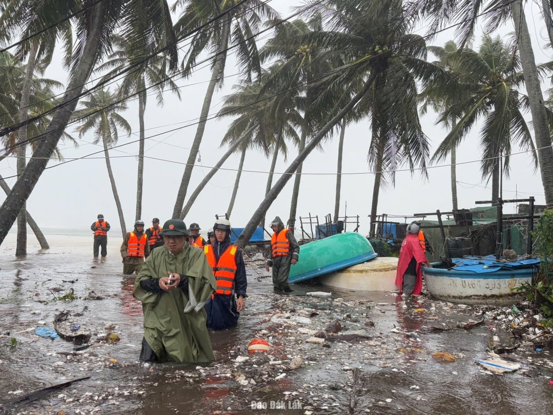 Autoritățile din districtul Song Cau ajută oamenii să își asigure și să își mute proprietățile atunci când crește mareea. Foto: Thanh Xuan