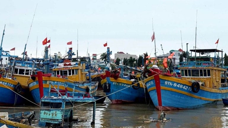 Klockan 15.00 den 6 november hade 3 174 fiskebåtar sökt skydd för storm nummer 13 i Lam Dong-provinsen. 5.jpg