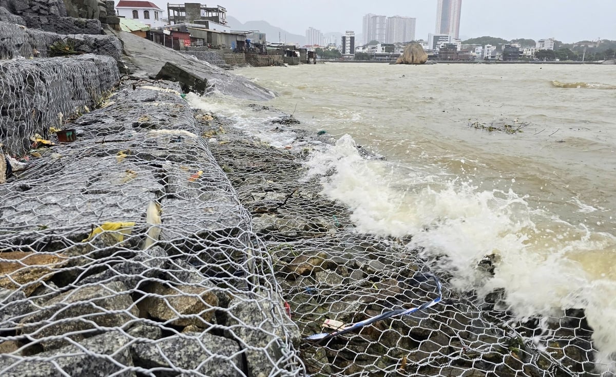 Vallen runt öområdet Nhat Tri förstärktes innan storm nr 13 nådde land. Foto: Phuong Chi. Bờ kè khu vực cồn Nhất Trí được gia cố trước khi bão số 13 đổ bộ vào đất liền. Ảnh: Phương Chi.
