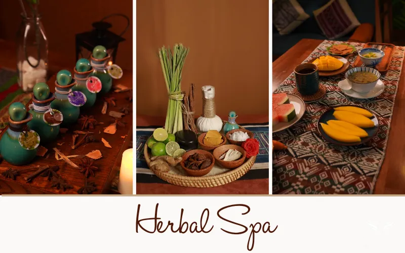ສະປາສະໝຸນໄພນຳຄວາມຫຼາກຫຼາຍຂອງສະໝຸນໄພພື້ນເມືອງມາສູ່ການທ່ອງທ່ຽວຫວຽດນາມ - ພາບ 1. Herbal Spa mang tinh hoa thảo dược dân tộc đến với du lịch Việt- Ảnh 1.