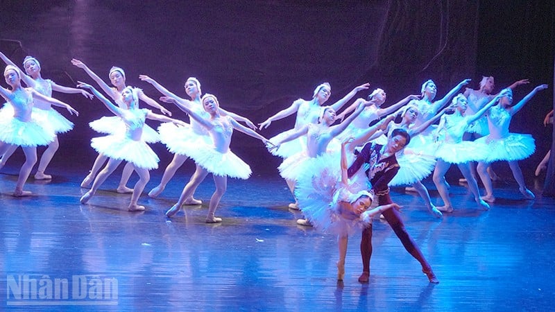 প্রথমবারের মতো, হো চি মিন সিটি ব্যালে, সিম্ফনি অর্কেস্ট্রা এবং অপেরা ব্যালে সোয়ান লেক মঞ্চস্থ করে। (ছবি: লিনহ বাও)