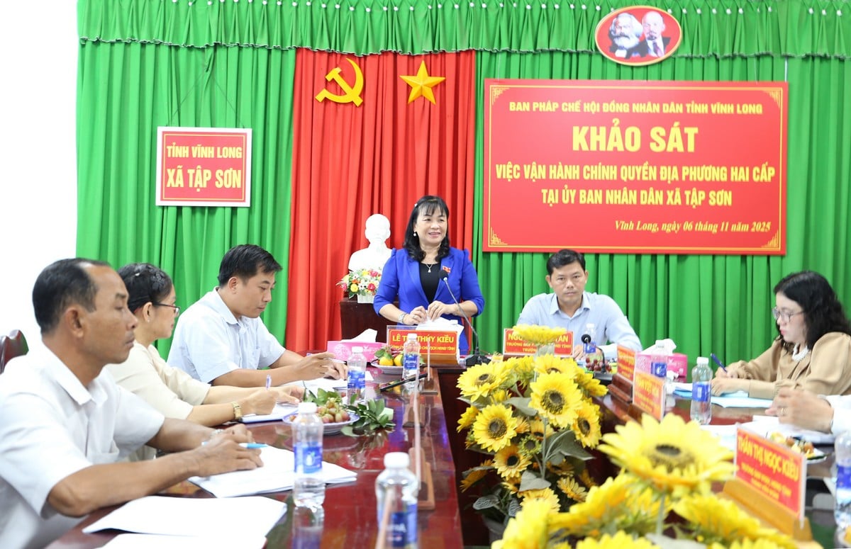 La Sra. Le Thi Thuy Kieu, Vicepresidenta del Consejo Popular Provincial, concluyó la encuesta.